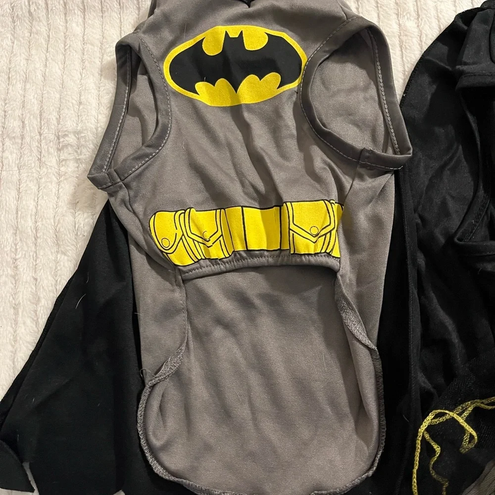Small Doggie Halloween Batman and Robin Costume Set - Black, Gray, and Yellow